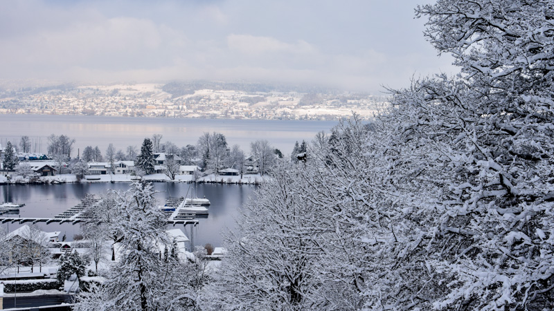 Umzug in die Schweiz