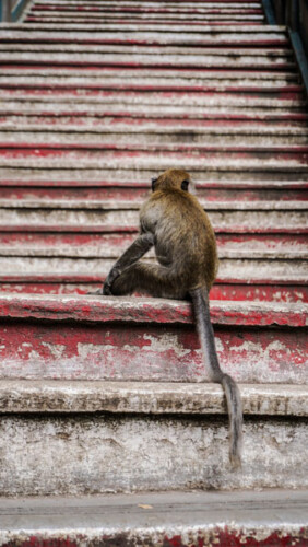 Kuala Lumpur - Batu Caves